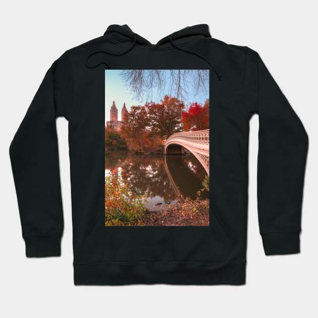 Central Park Fall 4 Hoodie by igjustin